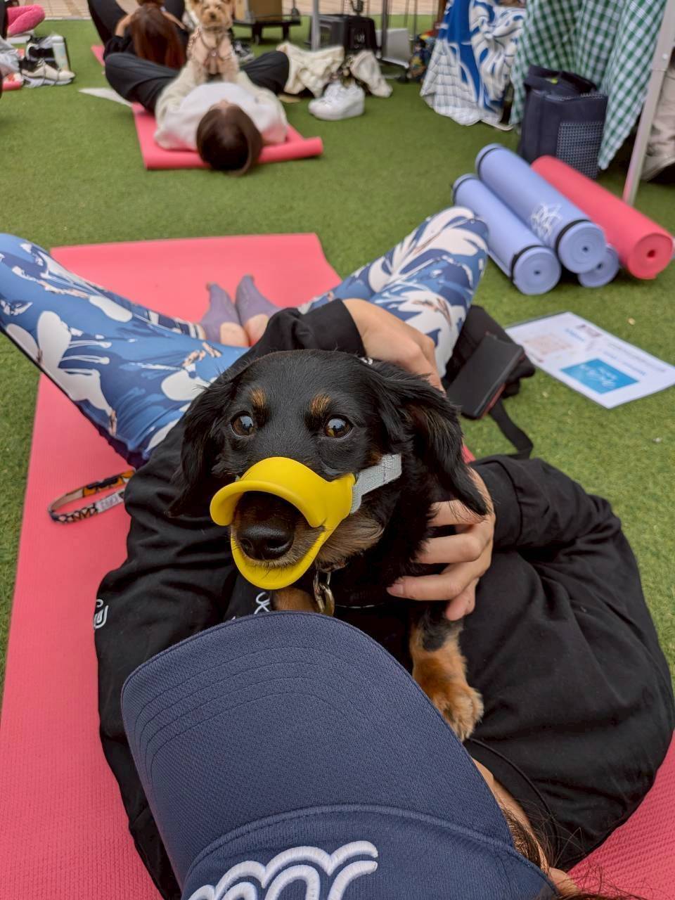 『Urban Wellness ドッグヨガ』 SLOW ART CENTER NAGOYA×Wellsis コラボ｜ 広場パワーアップお披露目イベントの開催決定！